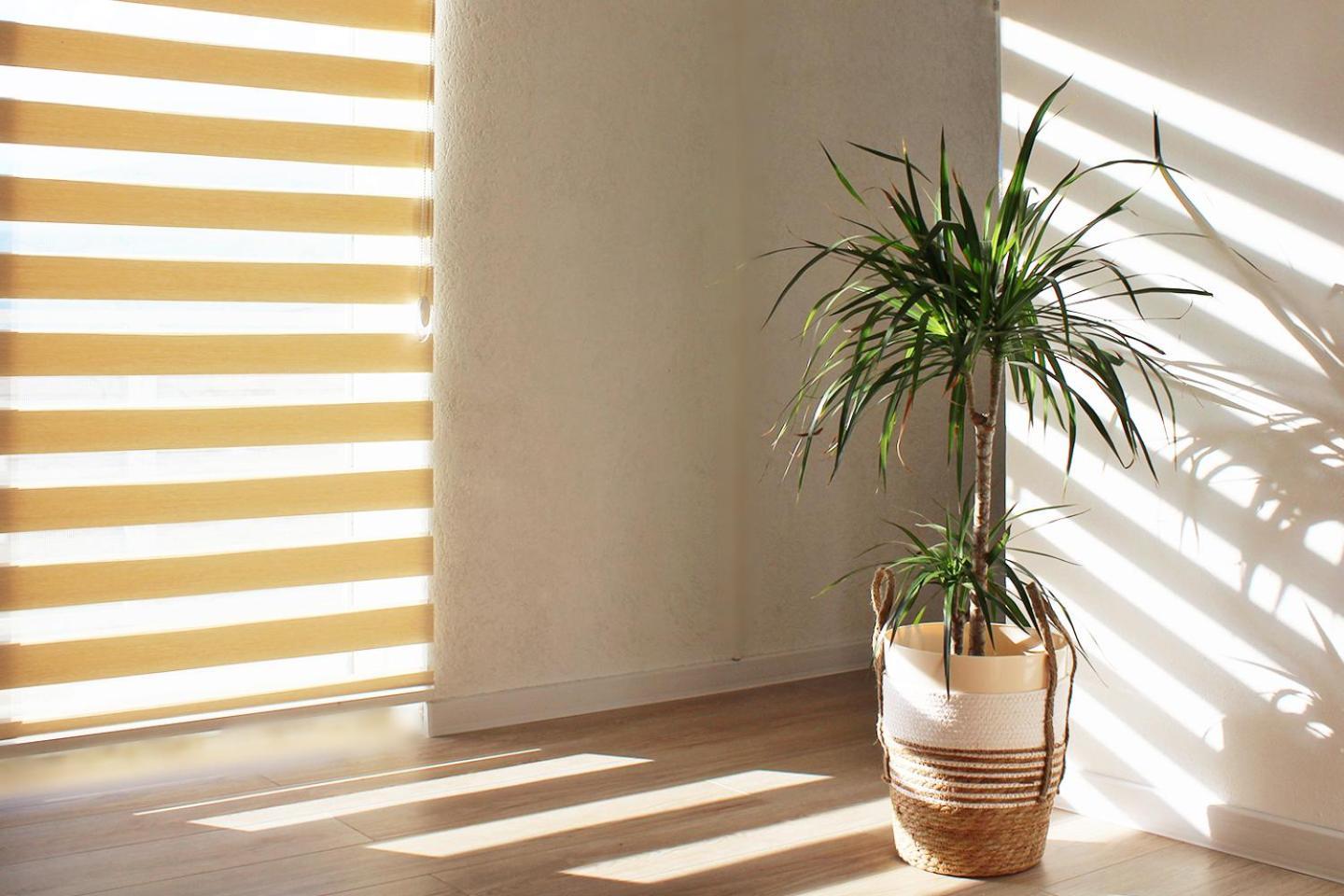 Farah Apartment موستار المظهر الخارجي الصورة
